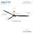 Pierce 84" Led Smart Ceiling Fan-116794753-116794750