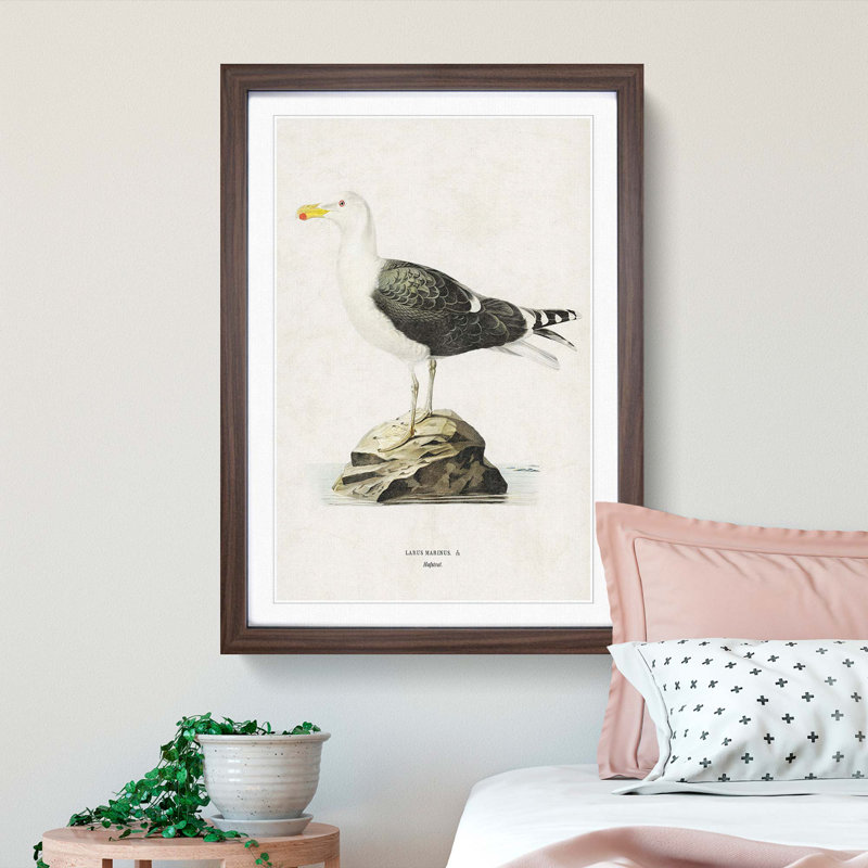 Great Black-Backed Gull by Von Wright - Picture Frame Painting Print, 87cm H x 62cm W x 2cm D, Walnut Framed