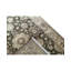 Oriental Area Rug in Brown/Cream
