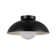 Glass Flush Mount