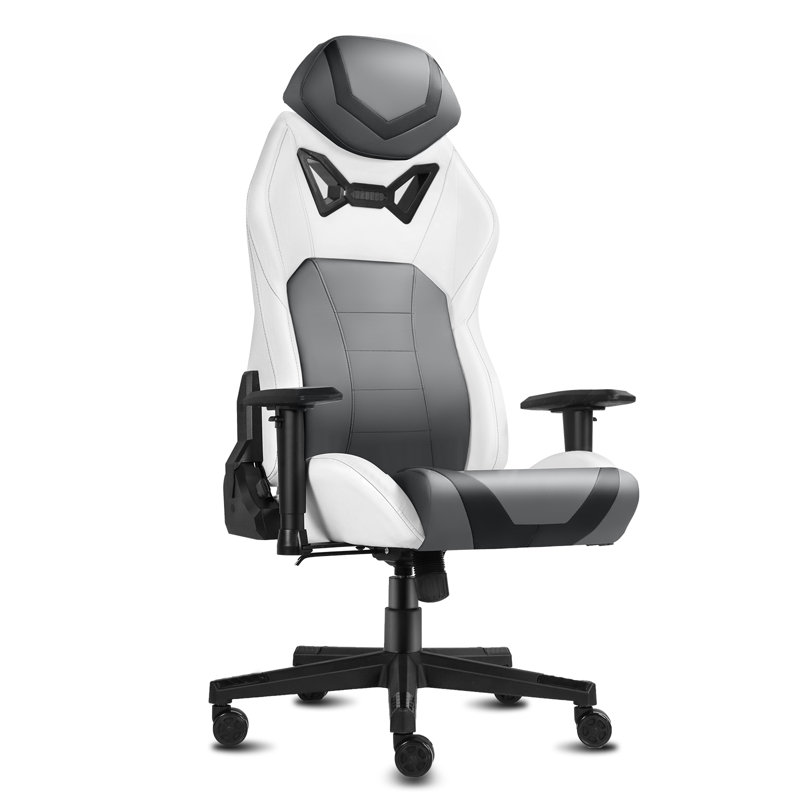 Inbox Zero Adjustable Ergonomic Swiveling PC & Racing Game Chair, Gray/White
