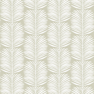 Rouleau de papier peint L 10 pi x l 24 po Organic Betty Palms