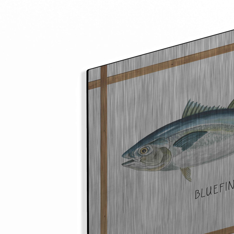 Beachcrest Home «Bluefin Tuna on White» par Cindy Jacobs, art mural en métal, H 12 po x l 16 po