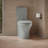 Persuade 1.6 GPF Elongated Two-Piece toilet (Seat Not Included)-36664617