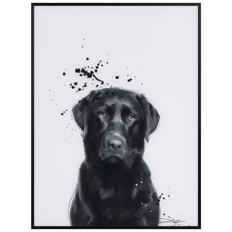 Labrador Retriever - cadre photo, impression sur verre