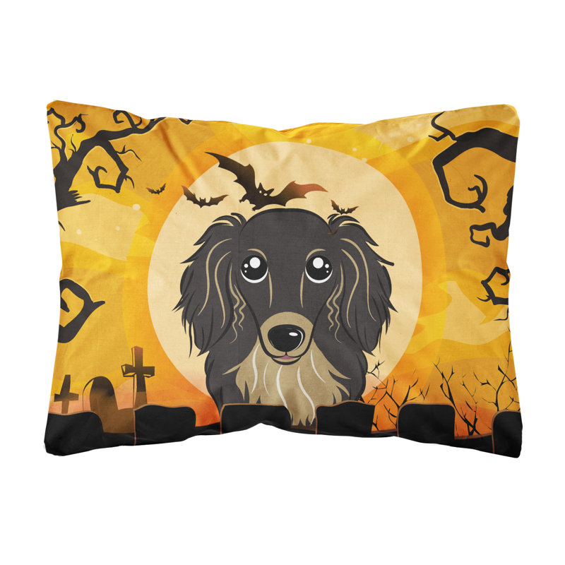  Coussin intérieur / extérieur Halloween, Noir / brun clair