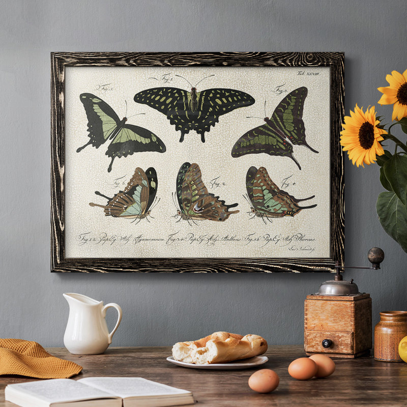 «Crackled Butterflies II», peinture sur toile encadrée, H 18 po x l 26 po x P 1,5 po, Noir