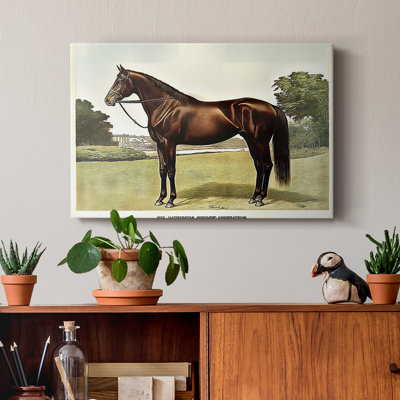 Animaux, paysage, série CCIX