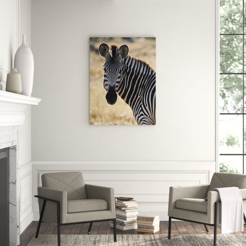 Majestic Zebra' Photographic Print