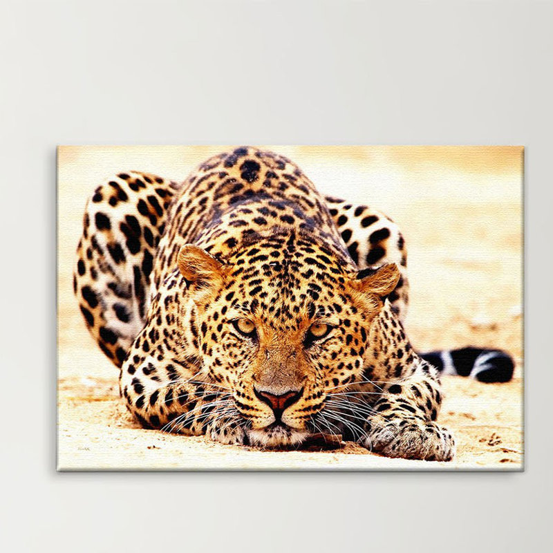 Print on Canvas, 100cm H x 150cm W x 4cm D