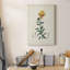 «Traditional Botanical III», impression sur toile tendue-1594425902