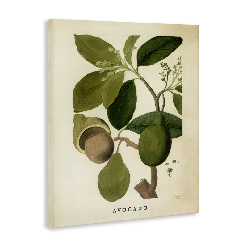 Toile rétro, plante d'avocat, par Lil 'Rue, H 30 po x l 24 po