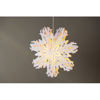 Archbald 1 - Light Unique/Statement Pendant