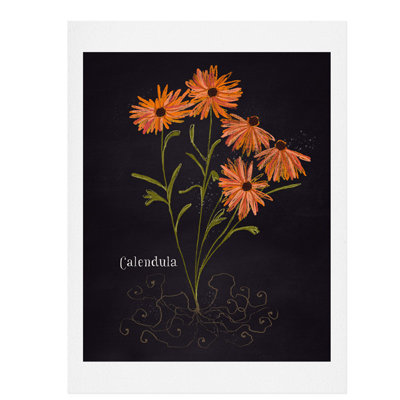 « herb jardin calendula », impression