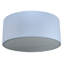 6 - Light Flush Mount