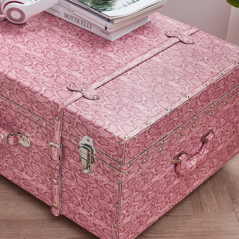 Texture Brand Trunk - Pink Snakeskin