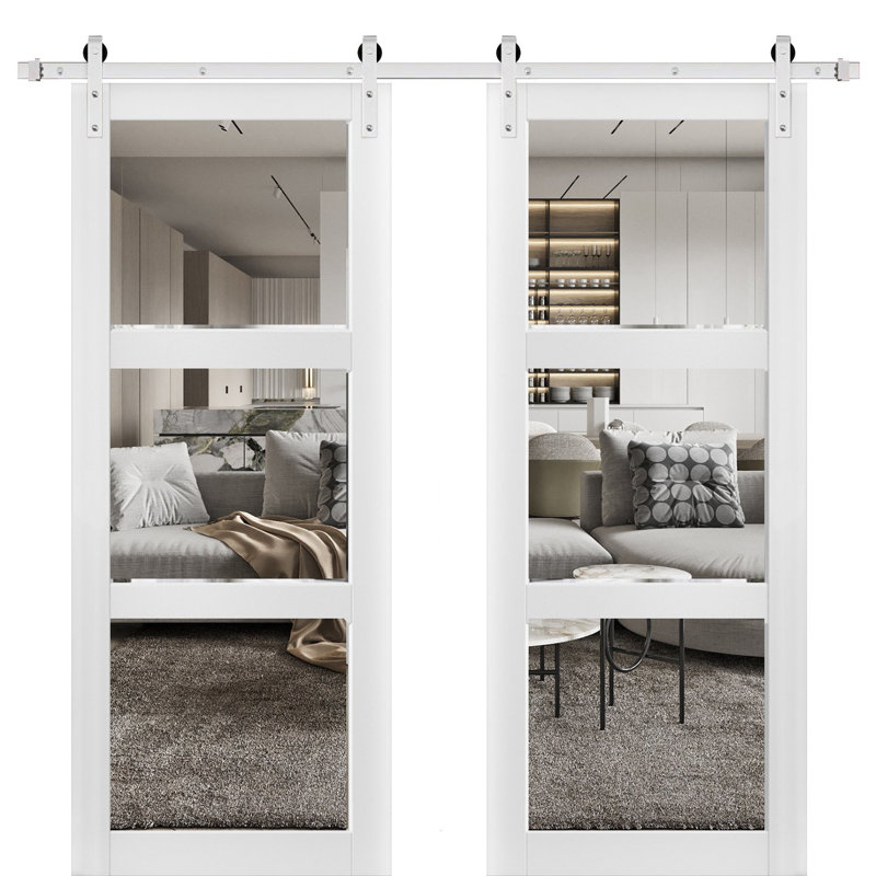Portes de grange en verre transparent Lucia avec ensemble de quincaillerie d'installation, 48 po x 84 po