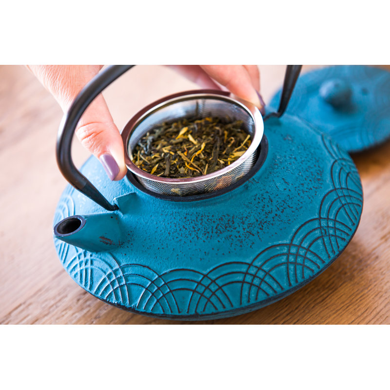 Bungalow Rose Densmore 20oz. Teapot