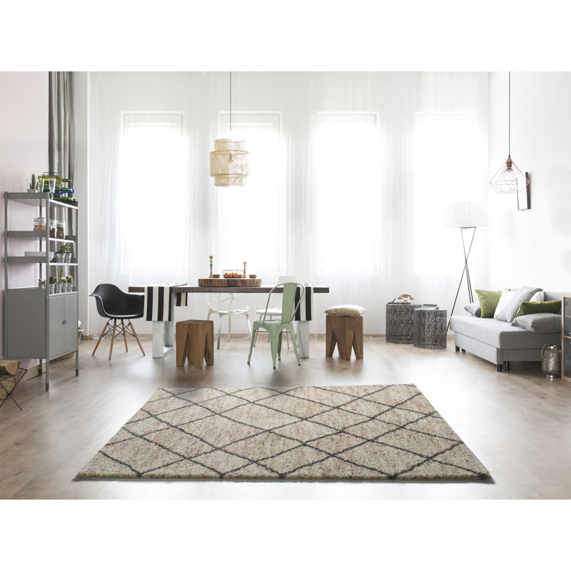 Mordenhill Southwestern Area Rug, Rectangle 133 x 190cm