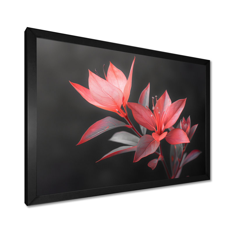 Palmea - Hibiscus, reproduction d'art murale, Toile encadrée noire simple, 12" H x 20" W x 1" D