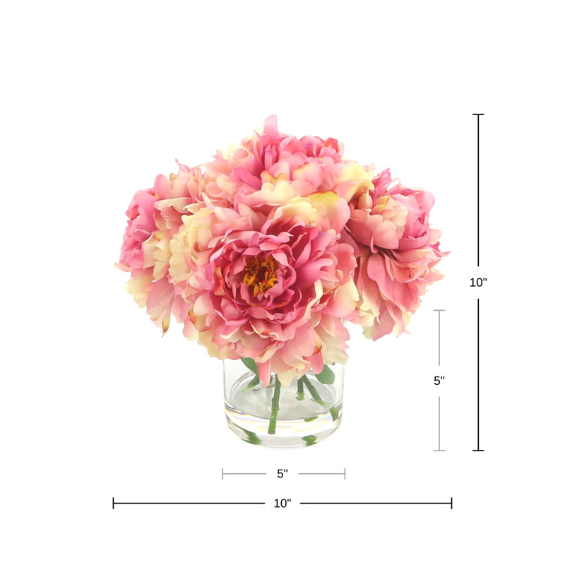 Peonies Arranged in Glass Vase, Pink/Beige