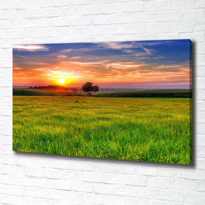 Sunset Meadow - Wrapped Canvas Print