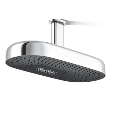 Statement™ 18" 2.5 GPM Oblong Rainhead