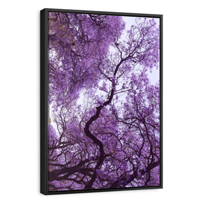Under Jacaranda Tree