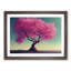 Delightful Cherry Blossom Tree - Framed Print-793773360-793773364