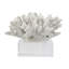 Davy Inna, simili corail, verre transparent, polyrésine blanc naturel 8 pouces