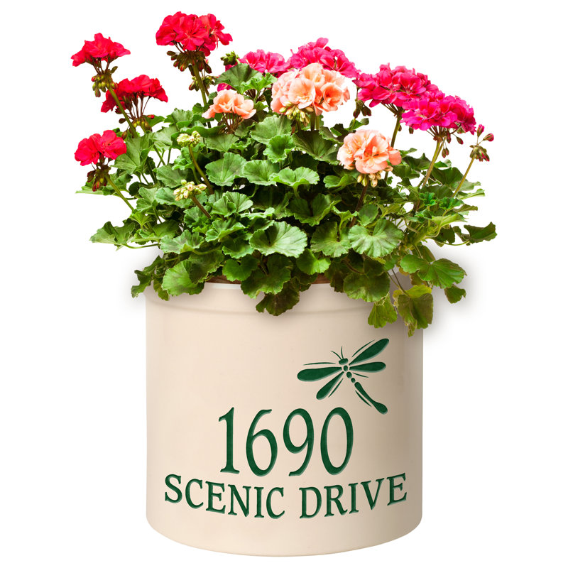 Pot de fleurs en céramique Woolery, Vert