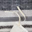 Housse de couette 3 pièces en coton double / grand - imprimé taupe bleu marine, 100% revers blanc, franges et chenille, bouton caché, 4 coins à cravate, lavable à la machine sans stress