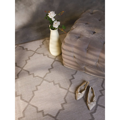 Indoor / Outdoor Rug
