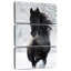 Cheval frison foncé Brampt-106817657