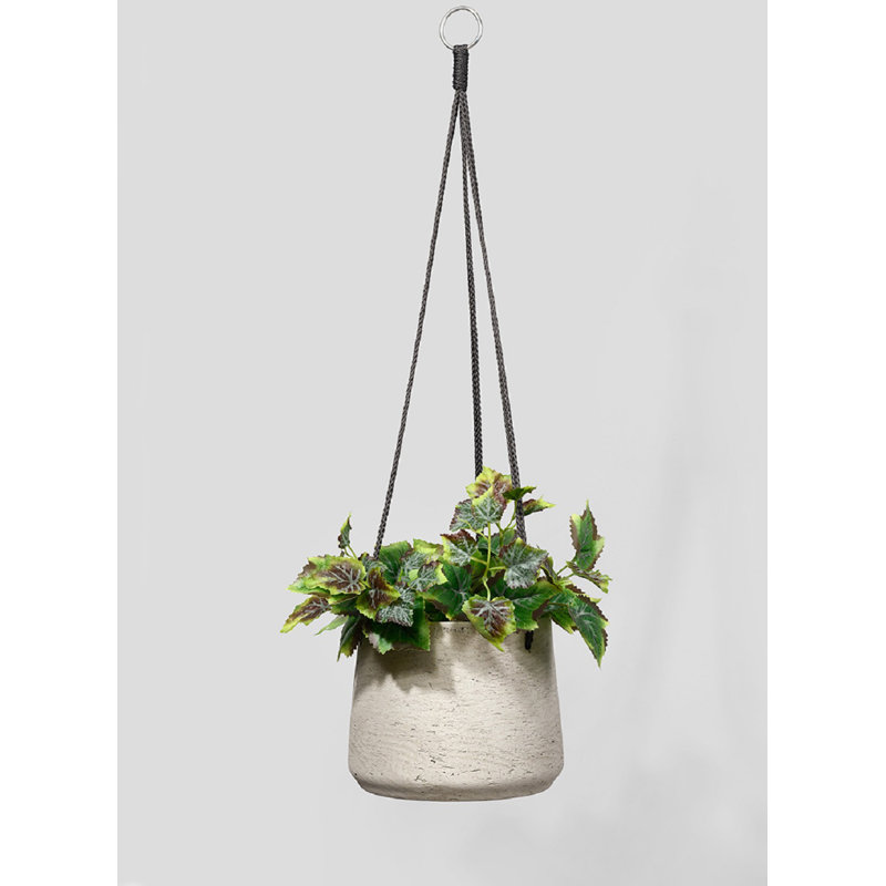 Refton Hanging Planter, 6.5" H x 8" W x 8" D