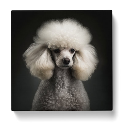 Poodle - Wrapped Canvas