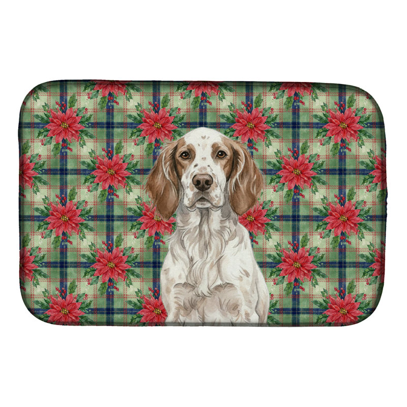 Tapis de séchage de platoieoie, Foie Belton