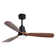 Kemp 52" 3 - Blade LED Modern Classic Ceiling Fan with Remote Control and Light Kit Included