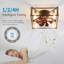 Ventilateur de plafond 18 po avec lumières et télécommande
