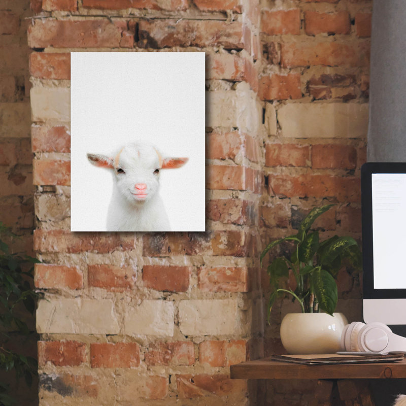 «Baby Goat» par Tai Prints, H 16 po x l 12 po x P 0,75 po
