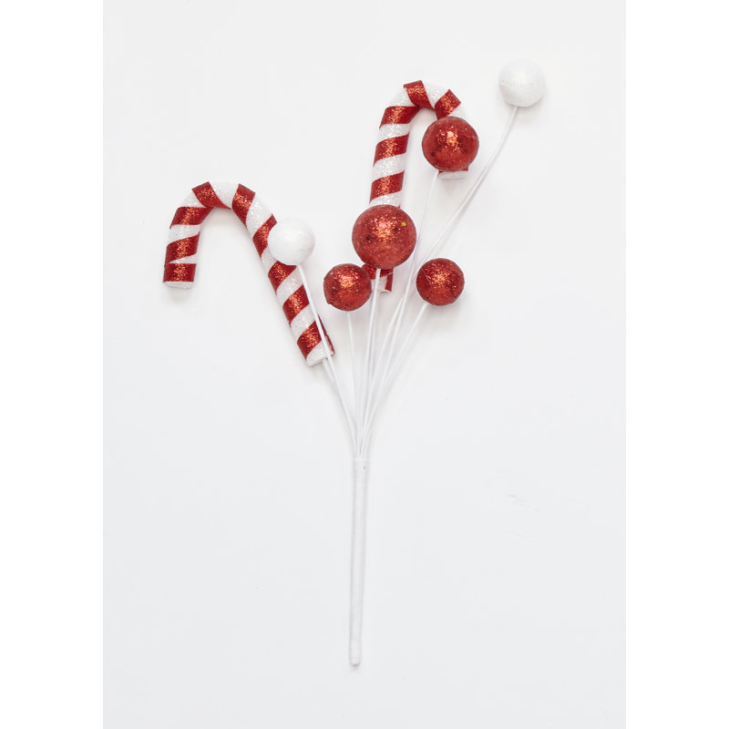 Choix de Noël 13 po