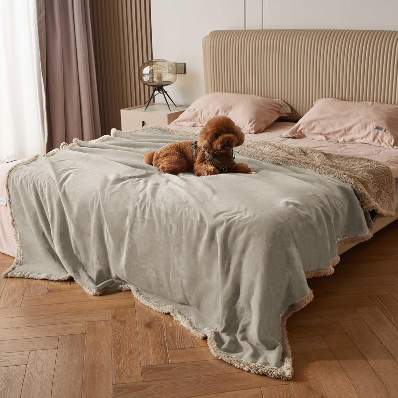 Pet Blanket, Camel 