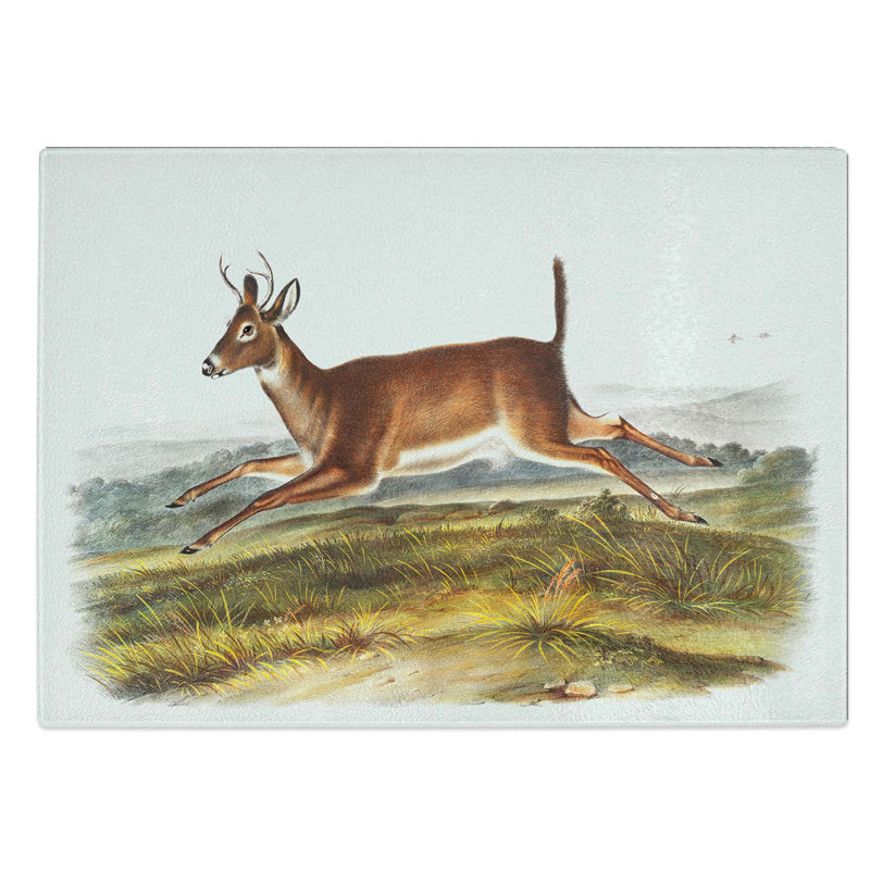 Glass Long-Tailed Deer by J.W. Audubon Chopping Board, 28.5 cm W x 20 cm L