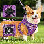 Harnais pour chien No-Pull avec laisse Gilet ajustable en maille respirante avec bandes réfléchissantes-1610832335-1664263297