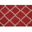 Tapis oriental Trellis Agra touffeté à la main 5 x 8-985423974