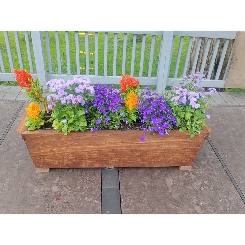 Darinka Wood Planter Box