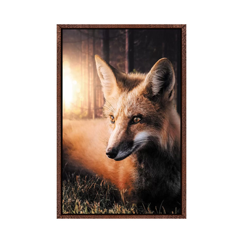 The Fox In The Forest by Zenja Gammer - Print on Canvas, Classic Brown Wood Framed, 66.04 cm H x 45.72 cm W