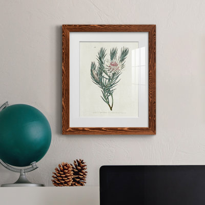 Protea N33 - Peinture encadrée