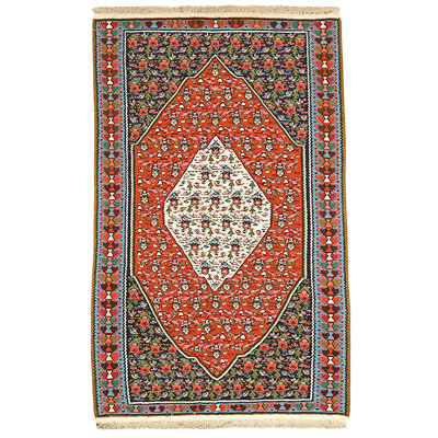 Tapis rouge et bleu noué à la main de haute qualité
