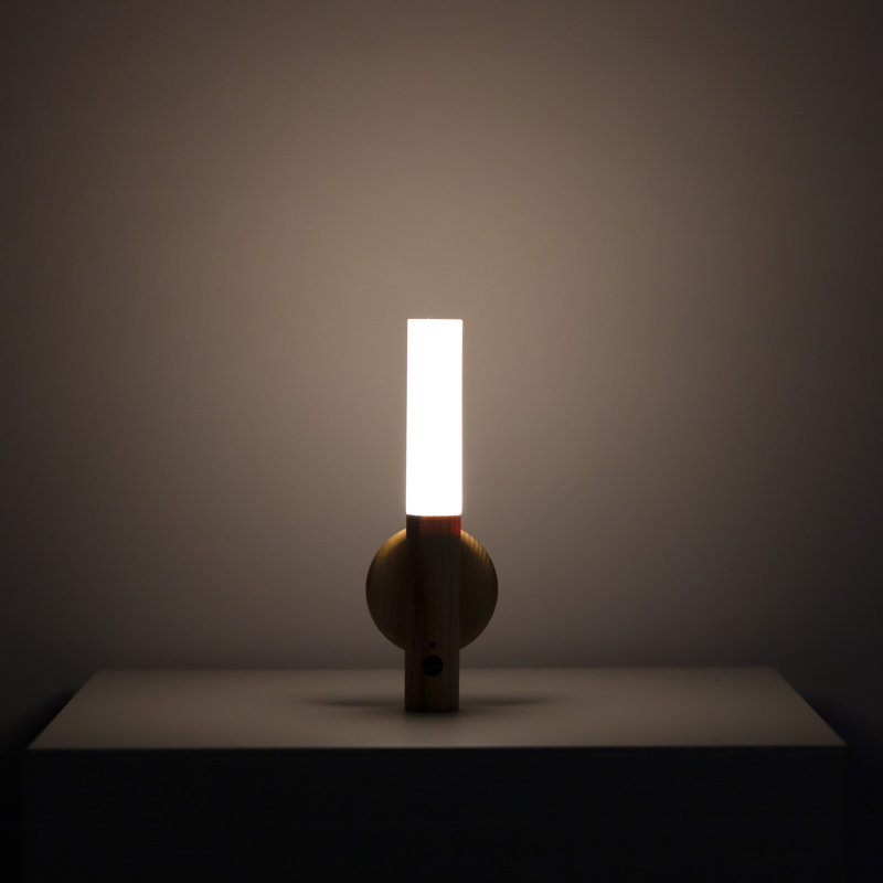 Motion Sensor Rechargeable Light/Ashwood